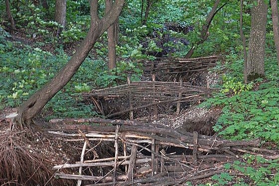 Сегодня в р.п. Ишеевка состоялась торжественное мероприятие, посвященное 81 годовщине со Дня образования Ульяновской области и Ульяновского района 